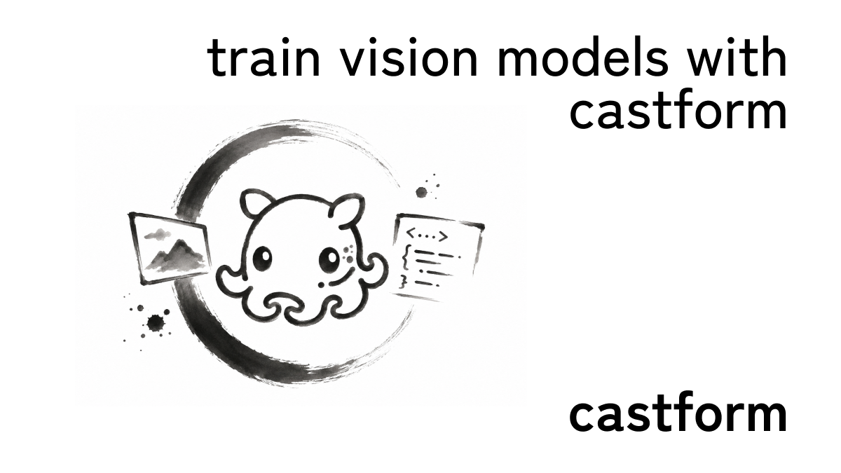 train vision models with castform